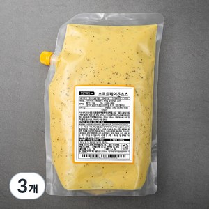 푸딩팩토리 대용량 소프트 케이준소스, 2kg, 3개