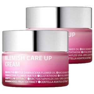 아이소이 블레미쉬 케어 업 흔적크림, 55ml, 2개