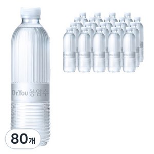 오리온제주용암수 닥터유 무라벨, 530ml, 80개