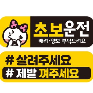 제제데코 초보운전 자동차 탈부착 자석 고휘도 반사 스티커 시트지 미디엄 E230 EC008 + EC048 세트, 혼합색상, 2개