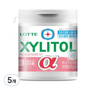 롯데자일리톨 알파 입안촉촉 피치 용기, 86g, 5개