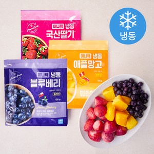 웰팜 미니팩 블루베리 100g + 딸기 150g + 망고 150g 세트 (냉동), 1세트