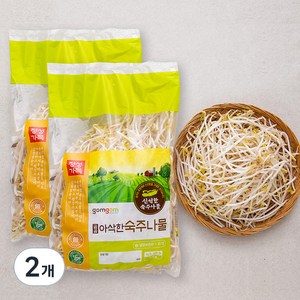 곰곰 아삭한 숙주나물, 500g, 2개