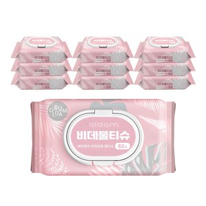 [비건라이프] 올담 오리지널 비데물티슈 캡형, 70g, 62매, 10개