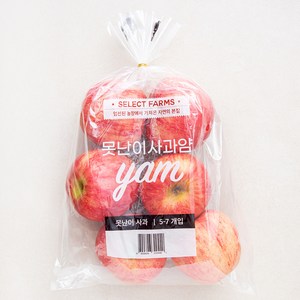 셀렉트팜 못난이 사과 얌, 1.5kg(중과, 5~7입), 1개