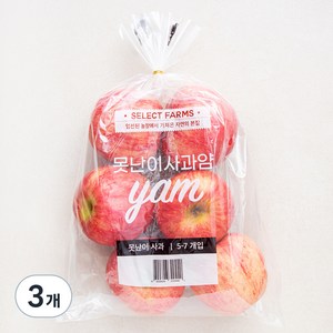 셀렉트팜 못난이 사과 얌, 1.5kg(중과, 5~7입), 3개