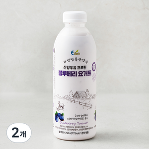 이담 산양우유 프로틴 블루베리 요거트, 750ml, 2개