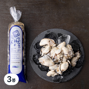 갯마을 남해안 봉지굴 (냉장), 280g, 3봉