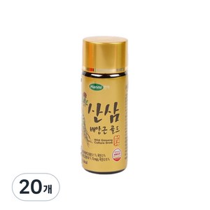 한미헬스 산삼배양근 골드 건강음료, 100ml, 20개