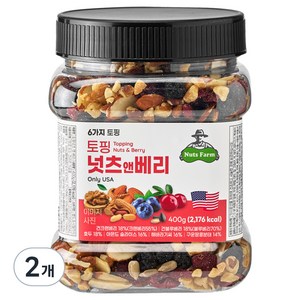 넛츠팜 토핑 넛츠앤베리 믹스넛, 400g, 2개