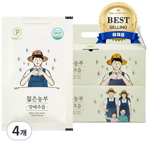 푸릇담 젊은농부 양배추즙, 5L, 4개