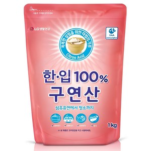 한입 100% 구연산 알파, 1kg, 1개