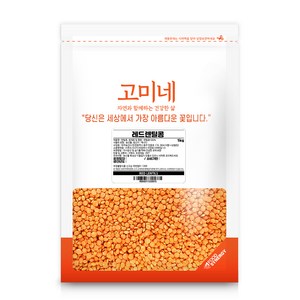 고미네 레드 렌틸콩, 1kg, 1개