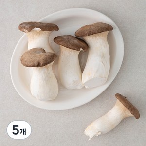 친환경 뿌리가 손질된 새송이버섯, 600g, 5개