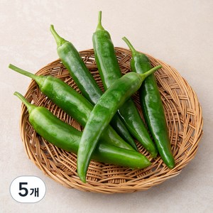 국내산 친환경 오이맛 고추, 200g, 5개