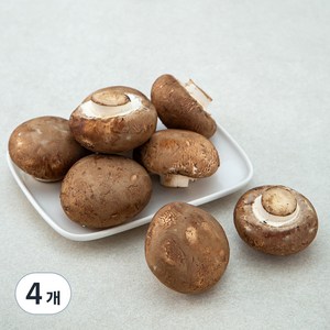 친환경 인증 국내산 양송이버섯, 150g, 4개