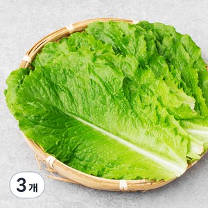 친환경 로메인, 70g, 3개