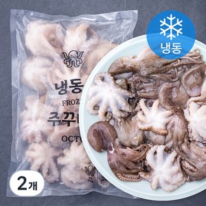 알찬해 손질 주꾸미 (냉동), 1kg, 2개