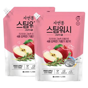 자연퐁 스팀워시 4X 애플향 주방세제, 1L, 2개