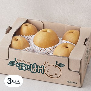 원농산 당도선별 배, 3kg(3~6입), 3박스