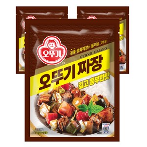 오뚜기 짜장 깊고 풍부한맛 과립형, 1kg, 3개