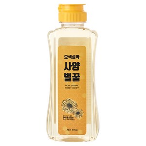 오색설악 사양벌꿀, 500g, 1개