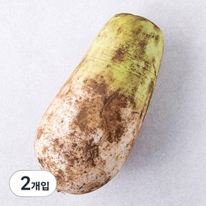 친환경 무, 1개입, 2개