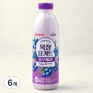 서울우유 신선함이 살아있는 목장 요거트 블루베리, 750ml, 6개