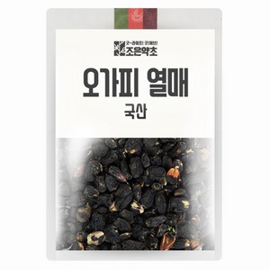 굿허브 오가피 열매, 500g, 1개