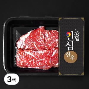 농협안심한우 숙성육 채끝 2등급 구이용 (냉장), 200g, 3팩