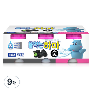 물먹는하마 참숯 제습제 본품, 280g, 9개