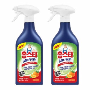 홈스타 맥스프레쉬 주방용 세정제, 500ml, 2개