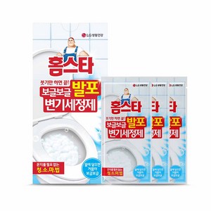 홈스타 보글보글 발포 변기 세정제, 180g, 1개