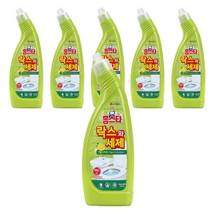 홈스타 락스와세제 허벌시트러스, 750ml, 6개