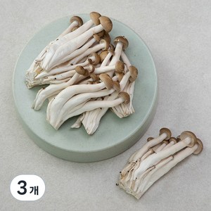 국내산 무농약 손질된 갈색 만가닥버섯, 300g, 3개