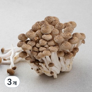 친환경 만가닥버섯, 150g, 3개