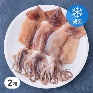 바다온 포항시 인증 구룡포 원양산 반건오징어 3미 (냉동), 300g (3미), 2개