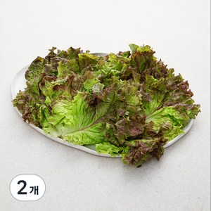 국내산 친환경 적상추, 150g, 2개