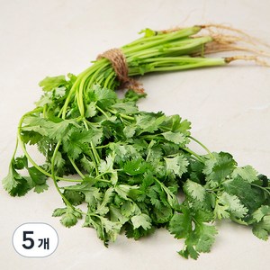 국내산 고수, 100g, 5개