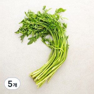 돌미나리, 200g, 5개