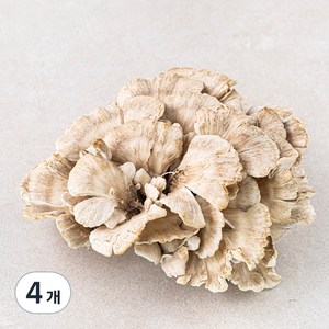 잎새버섯, 120g, 4개