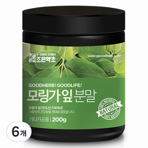 조은약초 프리미엄 모링가 잎가루, 200g, 6개