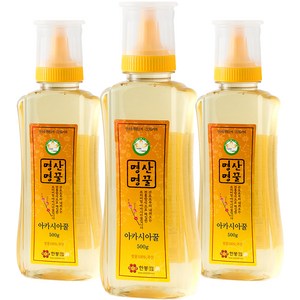 지리산한봉영농조합 국내산 아카시아 명산명꿀, 500g, 3개