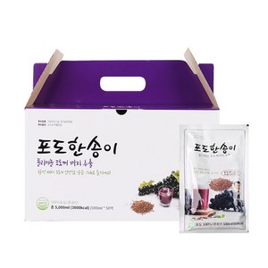 김재식헬스푸드 포도한송이 포도즙, 5L, 50개