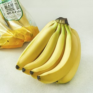 팜앤푸드 에콰도르산 고당도 바나나, 1개, 1.2kg