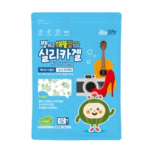 쨍하고해뜰집 실리카겔 제습제 본품 60p, 60g, 1개