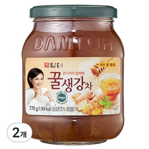 담터 꿀생강차, 770g, 1개입, 2개