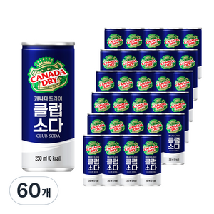 캐나다드라이 클럽소다, 250ml, 60개