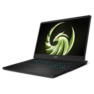 MSI 2023 Alpha17 라이젠9 7945HX 지포스 RTX 4070, 블랙, 1TB, 16GB, Fee DOS, MS-17K