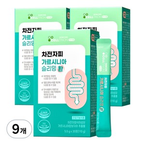 이너랩 차전자피 슬리밍 환 가르시니아, 110g, 9개